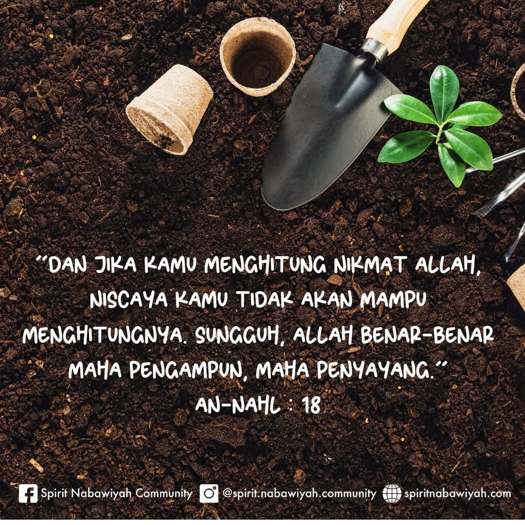 Mengetuk Pintu Langit: 13 'Jalur Langit' Agar Rezeki Mengejar Kita - K ...